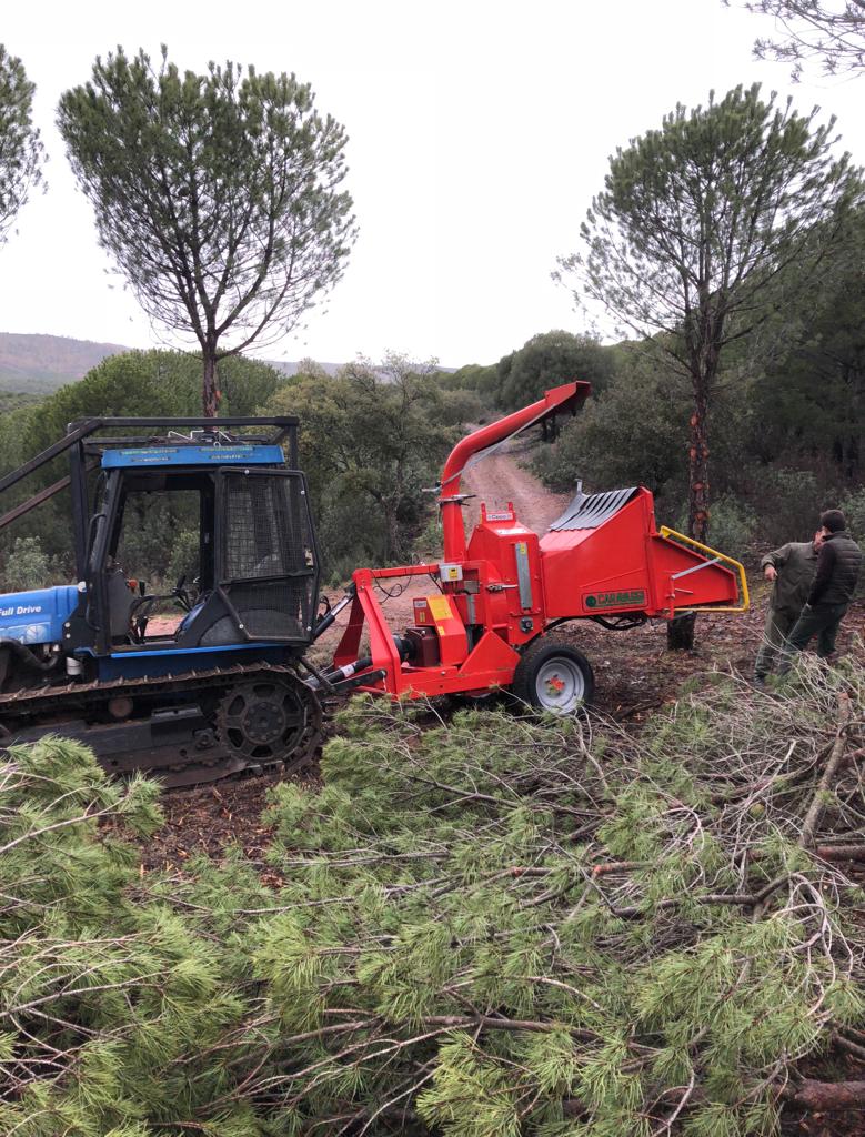 Tratamientos de recuperación do potencial forestal dañado en el Monte Alba en Valadares (Vigo) y Vigo Baixo Miño (Pontevedra)