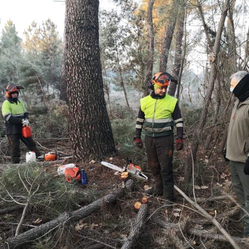 Obras de eliminación de residuos forestales mediante medios mecánicos y desbroce mecanizado procedentes de los tratamientos selvícolas que se llevan a cabo en Castilla la Mancha
