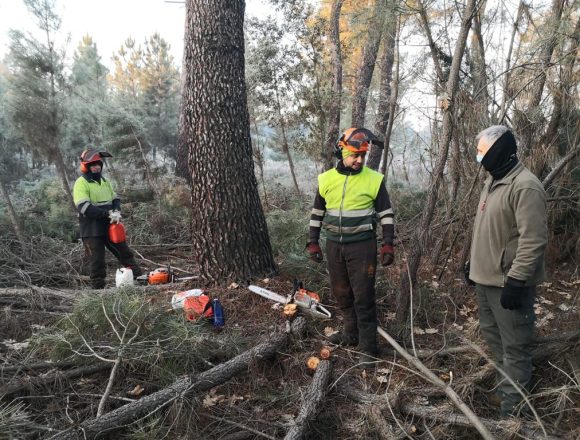 Obras de eliminación de residuos forestales mediante medios mecánicos y desbroce mecanizado procedentes de los tratamientos selvícolas que se llevan a cabo en Castilla la Mancha