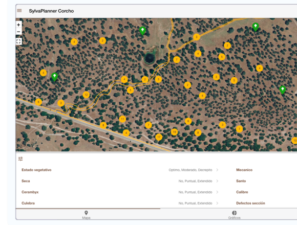 Sylvaplanner: gestión forestal mediante el uso de las TICs